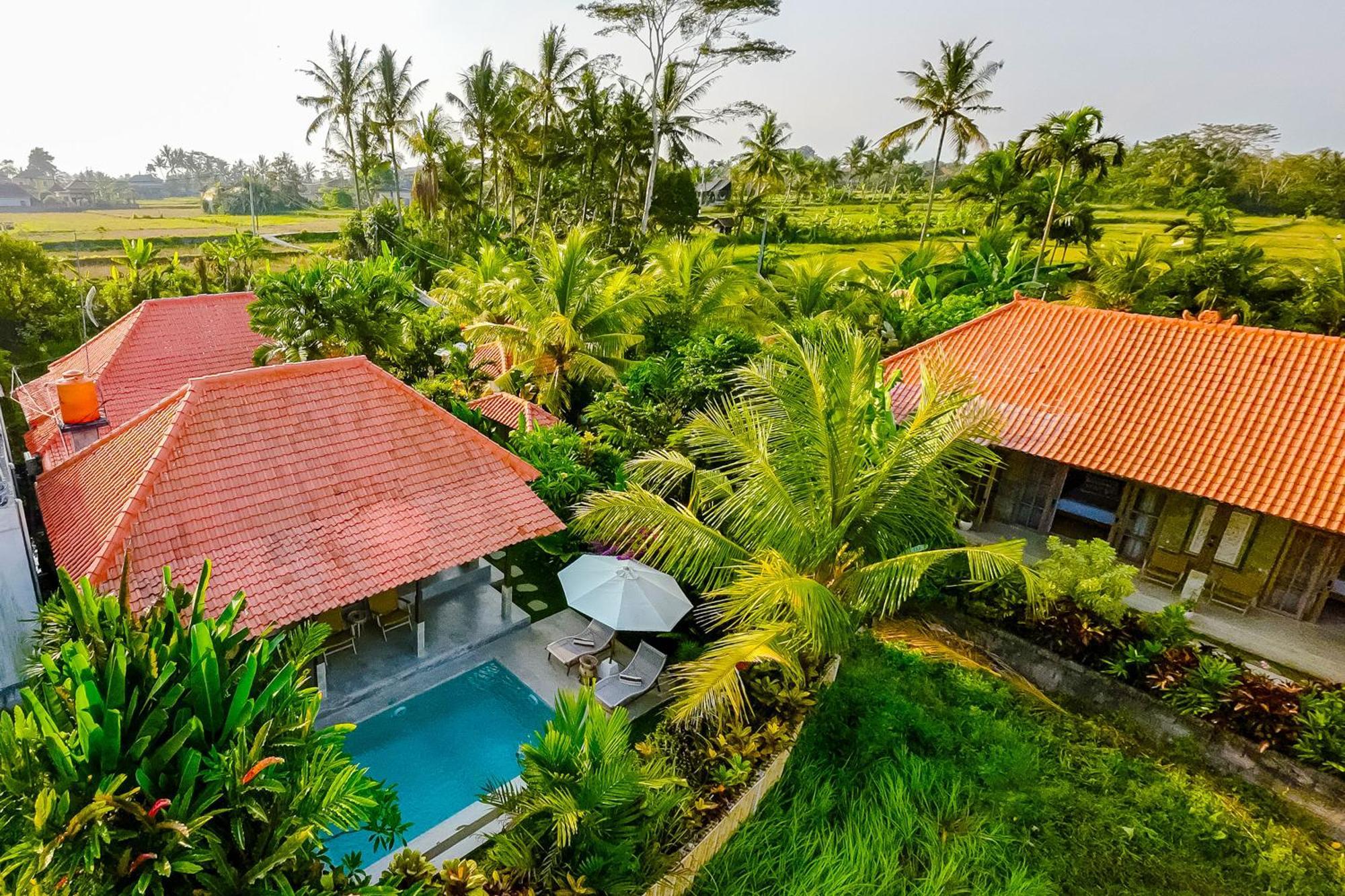 Nyaman Villas By Evdekimi Ubud Extérieur photo
