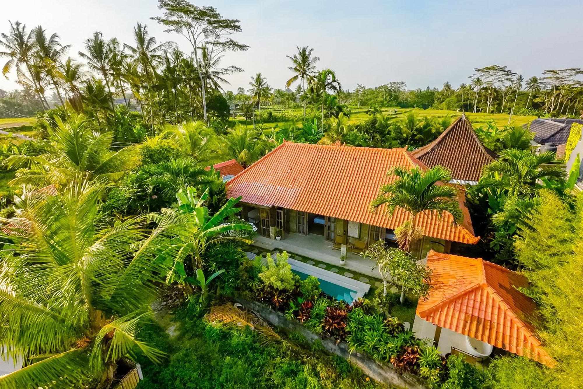 Nyaman Villas By Evdekimi Ubud Extérieur photo